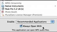 Switching iTunes to Be the Default Player : Using iTunes