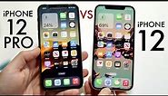 iPhone 12 Vs iPhone 12 Pro In 2023! (Comparison) (Review)