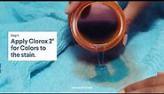 How to Remove Stains from Colored Clothing with Clorox 2 for Colors