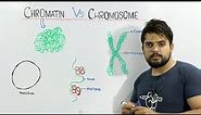 Chromatin vs Chromosome | An important concept of biology