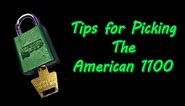 {137} How To Pick the American 1100: A Few Tips