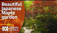 A picturesque cottage garden filled with Japanese Maples | Garden Design | Gardening Australia