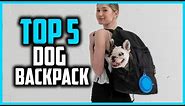 ✅Top 5 Best Dog Backpacks Reviews of 2024