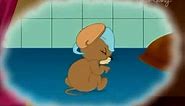 Tom and Jerry Tales (2006-2008) All Episodes