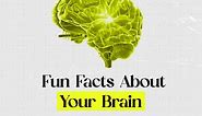 Fun facts about your brain