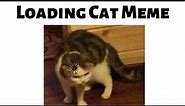 Loading Cat - Meme Compilation