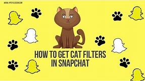 How to get the cat filter on Snapchat