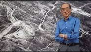 Wucius Wong: Prolific Pioneer of Contemporary Ink Art