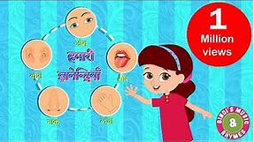 Five Senses Song | Educational Rhymes | Kids Songs | Bindi's Music & Rhymes