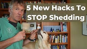 Dog Shedding Solutions: Discover 5 New Remedies That Actually Work!