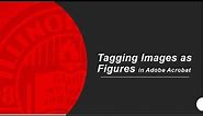 Tagging Images As Figures in Adobe Acrobat