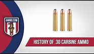 30 Carbine Ammo: The Forgotten Caliber History of 30 Carbine Ammo Explained