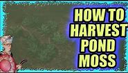 How To Get The Pond Moss In Grounded | Where Is The Pond Moss