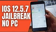How to Jailbreak iPhone iOS 12.5.7 Without Computer