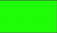 Camera Flash - Green Screen
