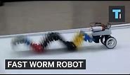 Fast worm robot