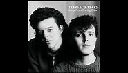Everybody Wants to Rule the World by Tears for Fears