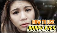 How To Use Puppy Eyes