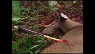 Primitive Archery Hunting for Deer. Otzi Arrow. Ishi Arrow. Traditional Bowhunting