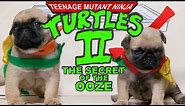 Ninja Turtles 2 (Pug Puppy Version)