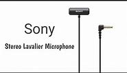 Sony Compact Stereo Lavalier Microphone ( ECM-LV1) Unboxing and Demo