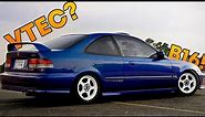 6th Gen Civic ULTIMATE Buyers Guide