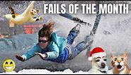 Funny Fails of January | Funny People in Action | TRY NOT TO LAUGH #failarmy