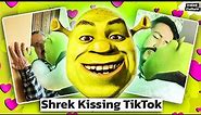 Shrek kissing filter. what it is