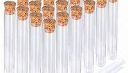 HNYYZL 25Pcs Clear Plastic Test Tubes with Cork Stoppers, 15x100mm 10ml, Good Seal for Jewelry Seed Beads Powder Spice Liquid Storage, Lab Use or Decoration