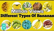 DIFFERENT TYPES OF BANANAS
