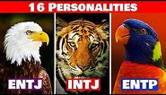 The 16 Personalities As ANIMALS | MBTI Community