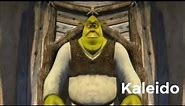 What are you doing in my swamp compilation
