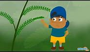 Mimosa Pudica - Touch Me Not Plant Facts - Science for Kids | Educational Videos by Mocomi