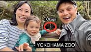 Yokohama Zoo Experience | ZOORASIA