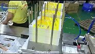 Linear Blister Packaging Machine