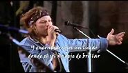 Bon Jovi Always Live in London 1995 Subtitulado