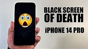 How to Fix Black Screen of Death on iPhone 14 Pro?