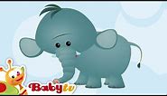 Elephant | Animal Sounds and Names for Kids & Toddlers | @BabyTV