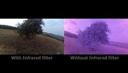 With & Without IR filter (Side-by-side comparison)