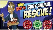 Wild Kratts Games: Wild Kratts Baby Animals Rescue - Unlock Five Baby Animals