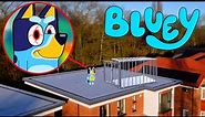 I CAPTURED BLUEY IN REAL LIFE!