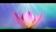 Lotus Flower Animated