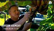 Red Bananas: Gordon Ramsay's 'Ono' Farm Adventure in Hawaii | Gordon Ramsay: Uncharted