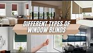 Different Types Of Window Blinds | Guide 2024