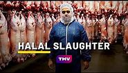 What is HALAL SLAUGHTER? (QURBANI) | Halal Meat Farm 🐑 | Being Muslim