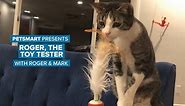 PetSmart Presents- Roger the Cat tests toys!
