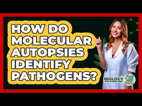 How Do Molecular Autopsies Identify Pathogens? - Biology For Everyone