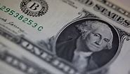 US Dollar Will Normalize Over Time: JPM’s Leenart