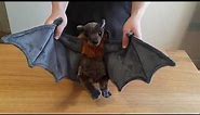 Large Bat Cuddly Soft Toy