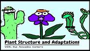 (OLD VIDEO) Plant Structure and Adaptations